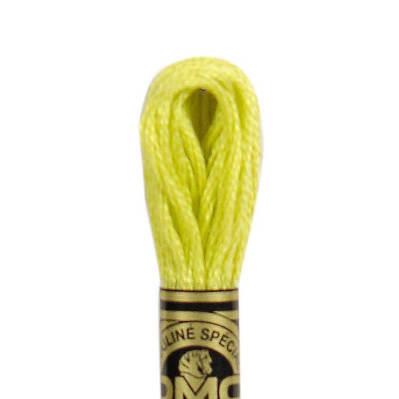 DMC 6 Strand Embroidery Cotton 8.7yd Apple Green